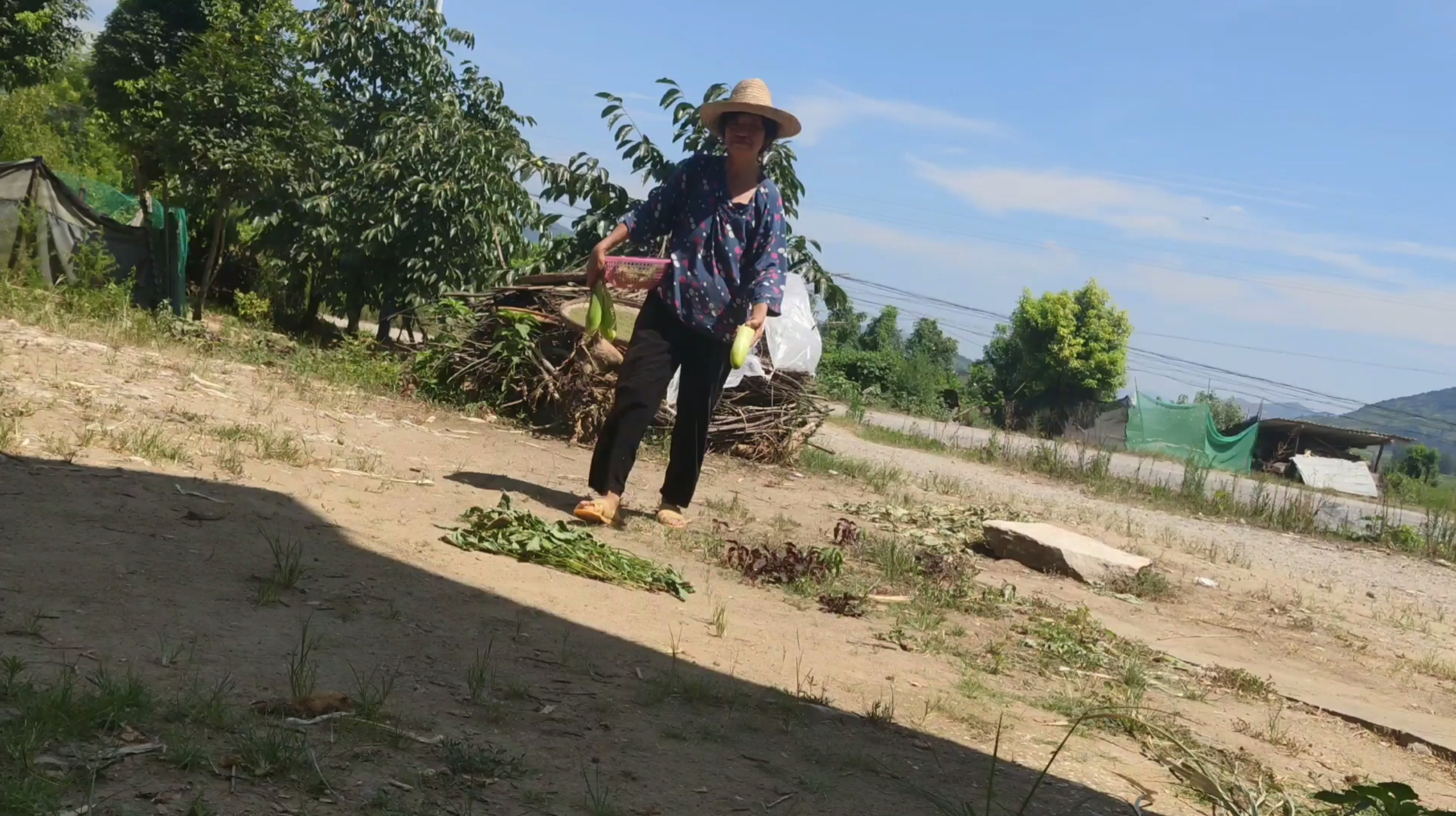 vlog:在农村吃吃瓜,养养鸡鸭,小泽感觉特别好,奶奶说你又瘦了