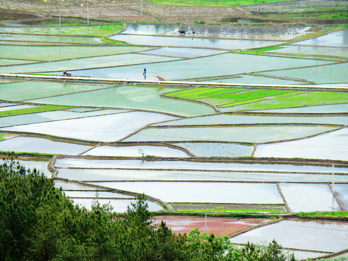 春天的第一缕阳光：记录春日的美好