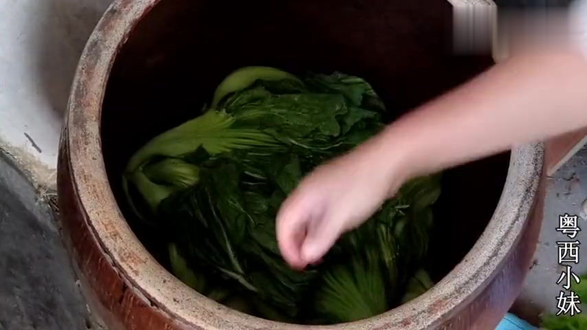 自家种的芥菜多的吃不完,农村姑娘这样做,保存1年都不会坏