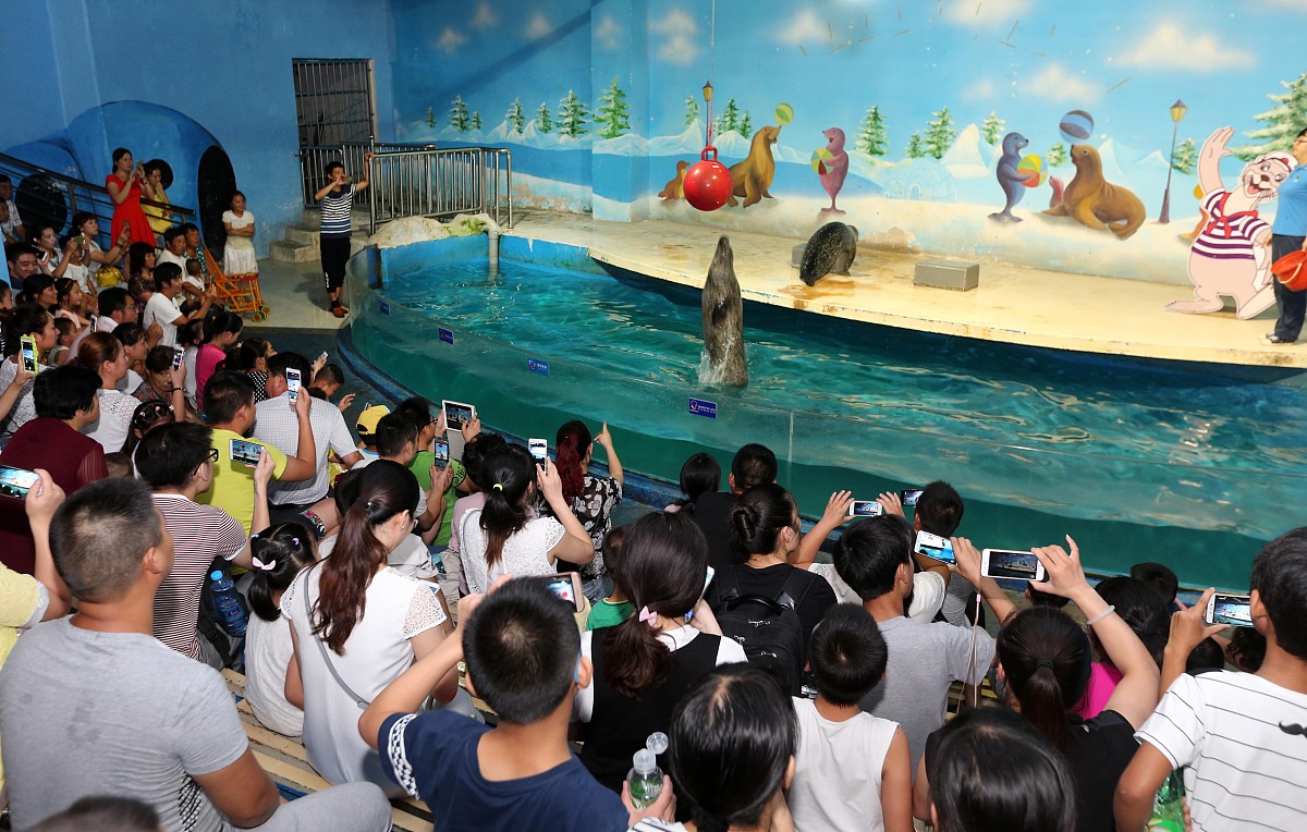 重庆汉海海洋公园为什么只要学生工帮我用200字详细描述