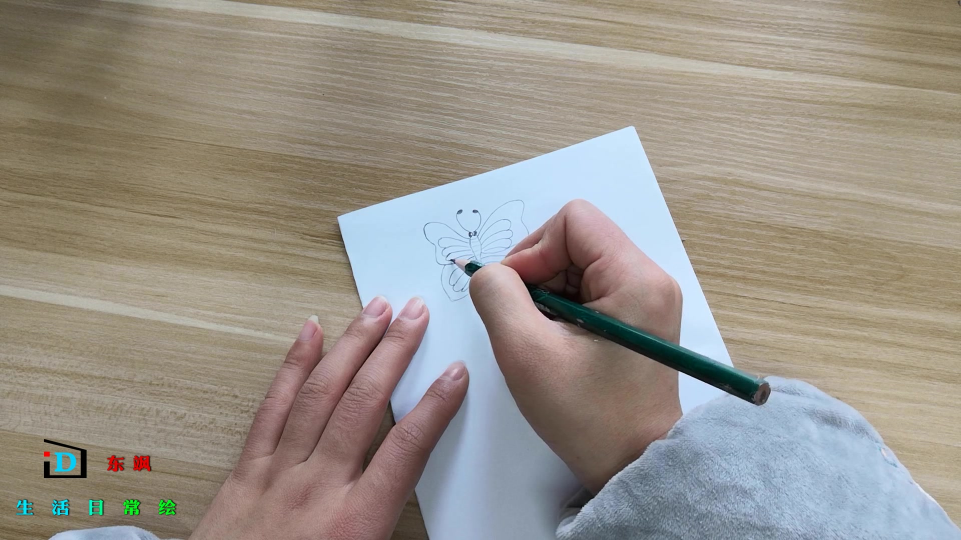 儿童简笔画:花蝴蝶的画法教程,简单涂上颜色会更加漂亮