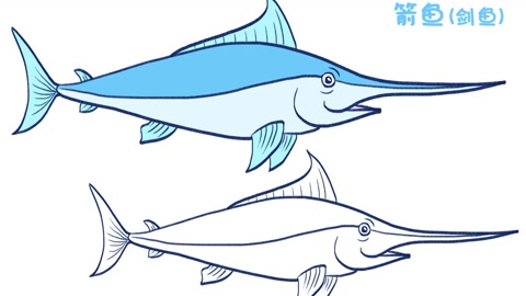 简笔画大全,箭鱼