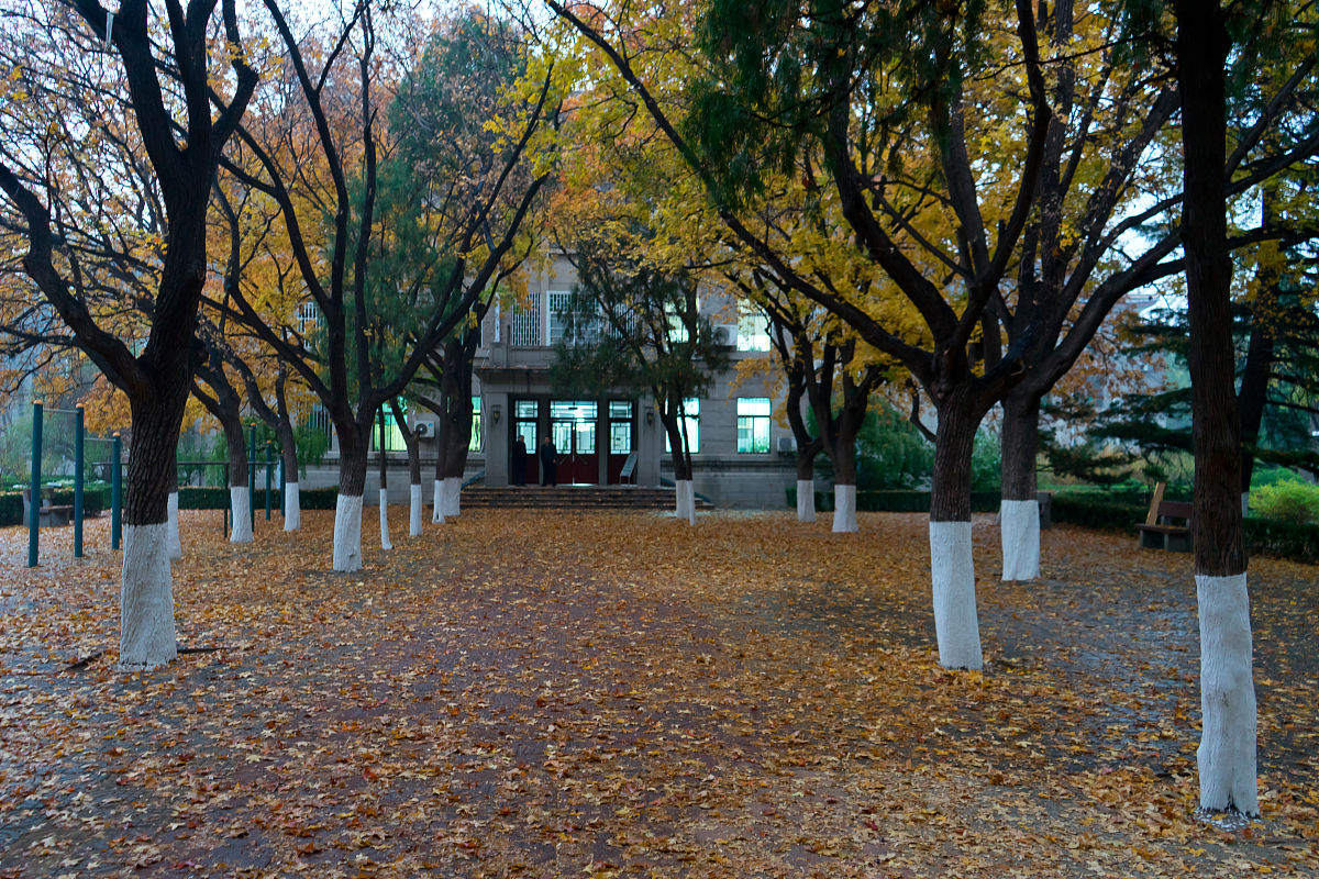 贵定师范学校2019年招生简章