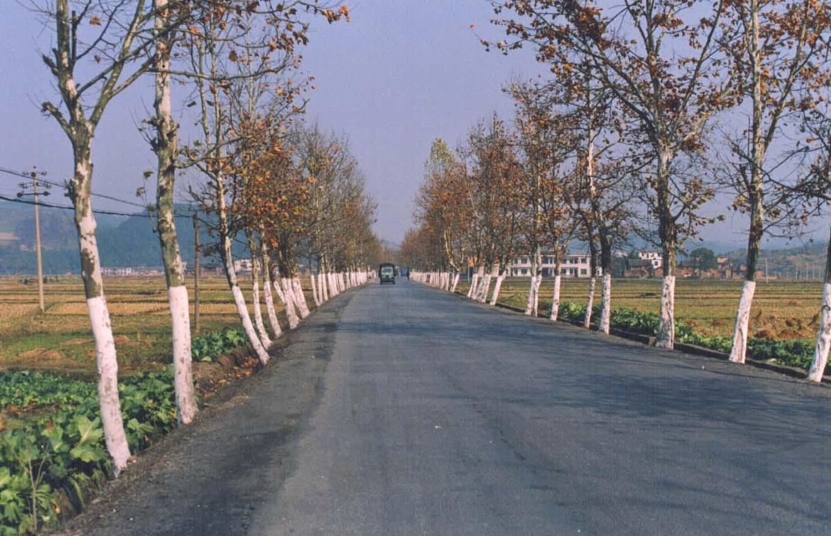 坝上区域农村道路设计方案为主题生成500字的文章