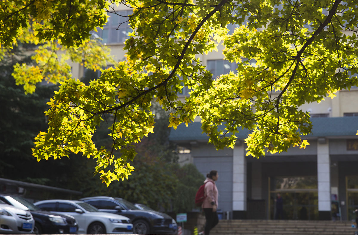 济南幼儿师范高等专科学校音乐教育专业就业前景如何