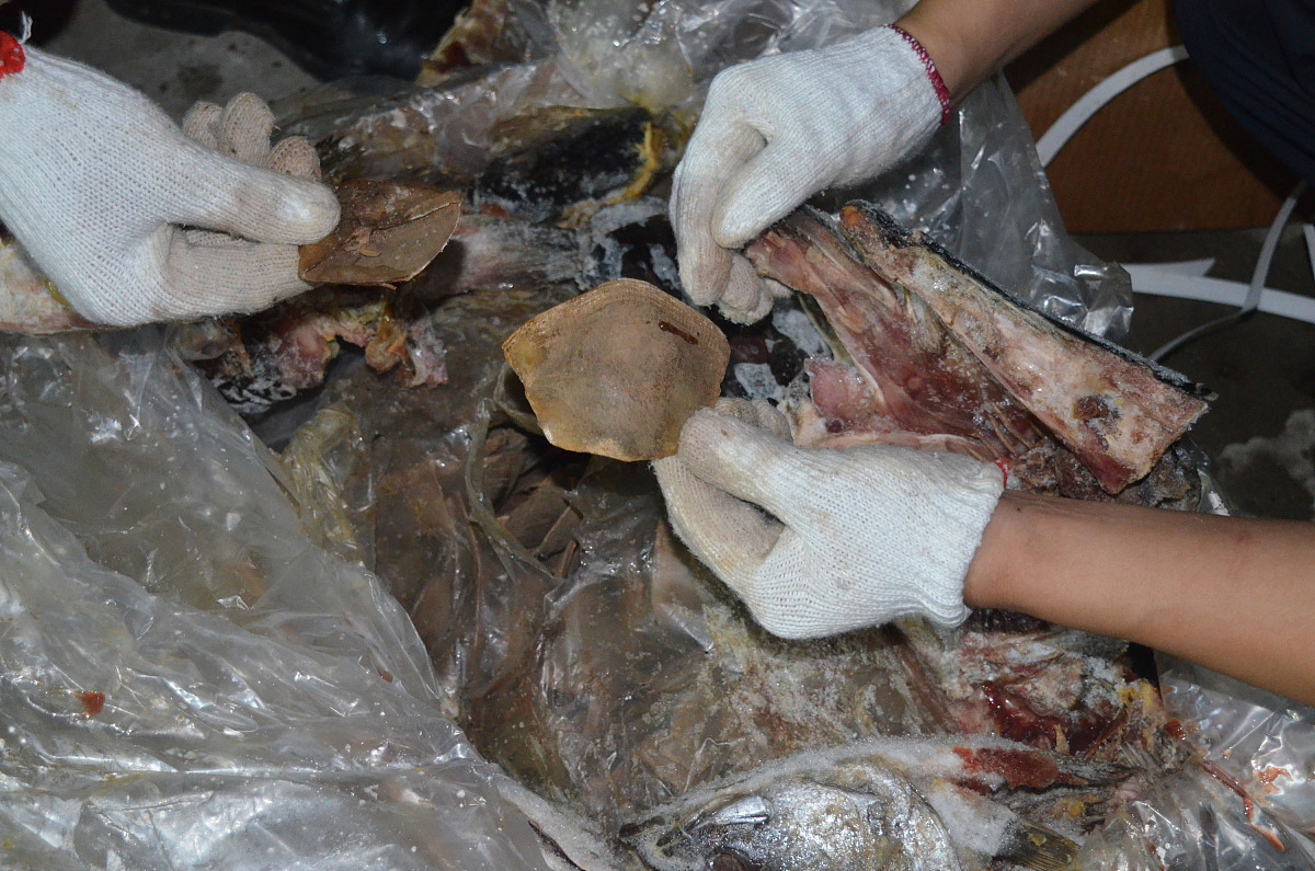 锅里生蛆了锅还能要吗