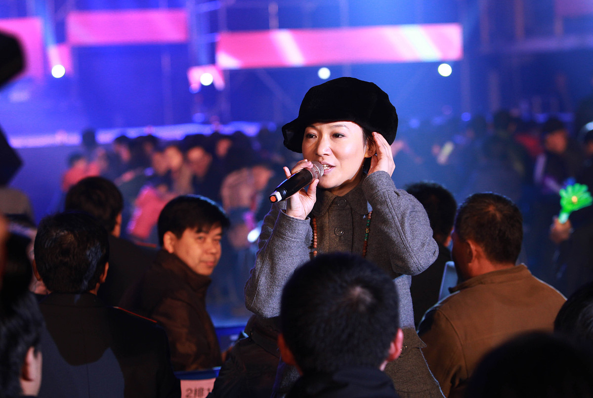 2013年2月1日,湖北省武汉市,歌星齐聚武汉动车基地,慰问战斗在春运一