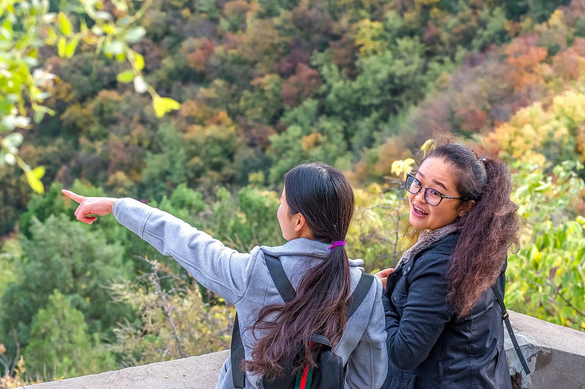 700字初中的记叙文主题是关于在小学至初三期间爸爸开车带着爷爷、奶奶、妈妈和我去北京西北郊的百望山森林公园爬了百望山又名望儿山相传北宋杨六郎与辽兵在此山下鏖战佘太君登山观阵助威此山因而得名这里山不高秋天有红叶并发生了某件印象深刻的事情我从中要得到一些感悟与教育。