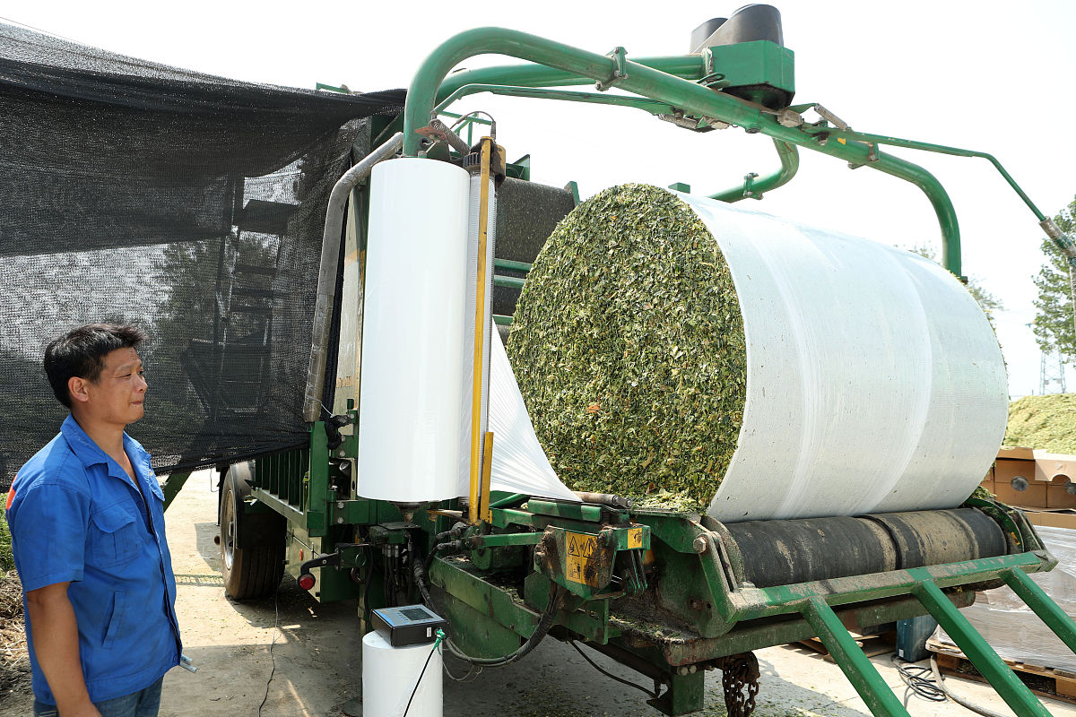 广西农业职业技术学院饲料与动物营养专业怎么样