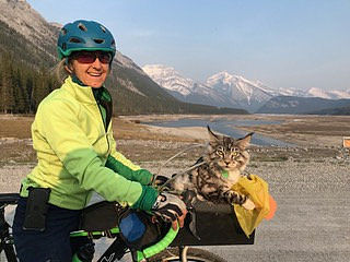 绿洲世界怎么获得车皮？