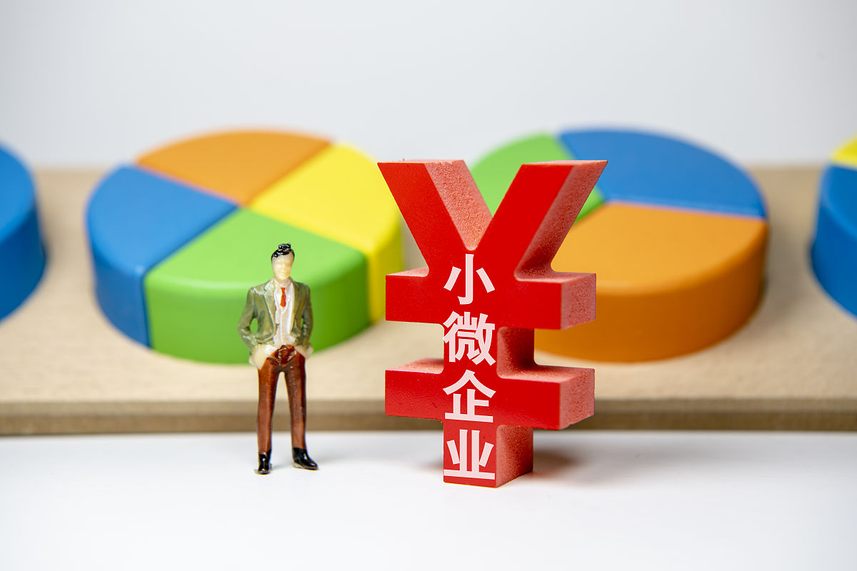 小微企业定义、特点及重要地位 - 全面解析