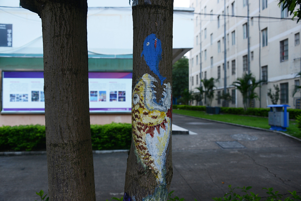 广西大学排名：本科、专科院校一览