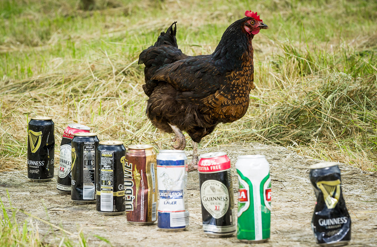 贵州畜牧兽医学校2023年开设有哪些专业-怎么样