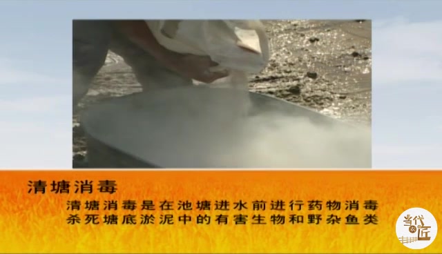 草鱼的养殖条件和人工养殖技术,这些细节你要知道!