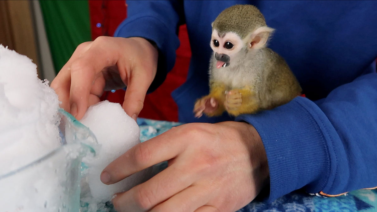 2019年贵州应用技术职业学院招生简章