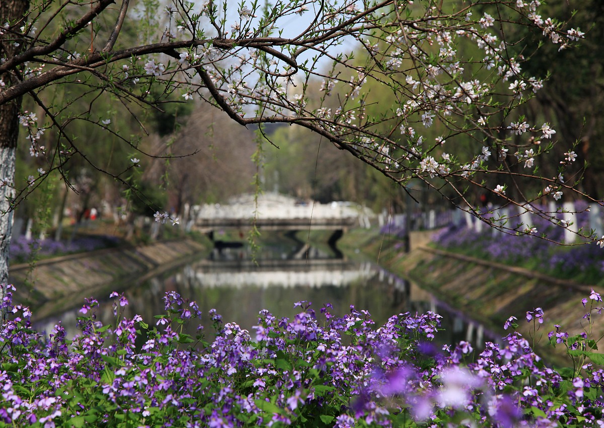 广西英华国际职业学院招生办电话:0771-1234567 广西英华国际职业学院招生办电话:0771-1234567