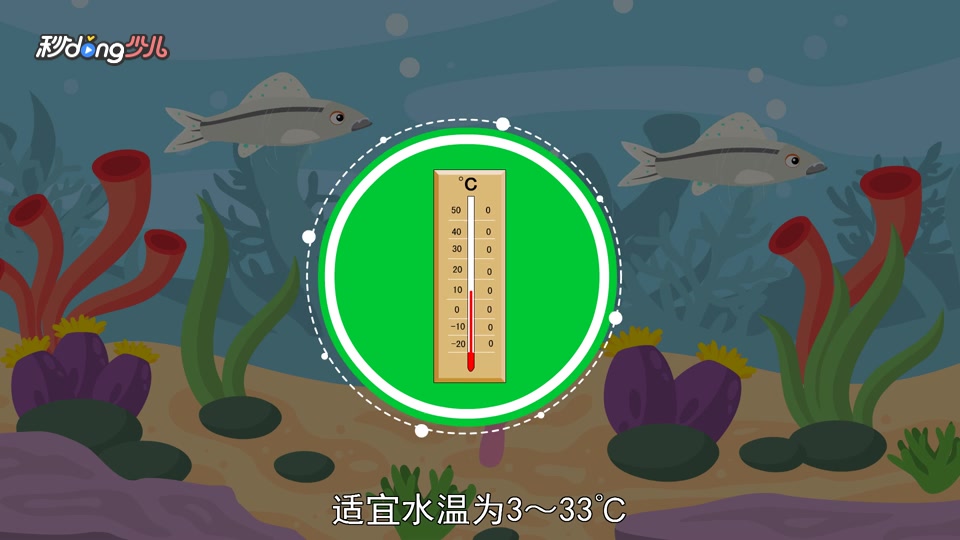 松花江鲈鱼的生活习性