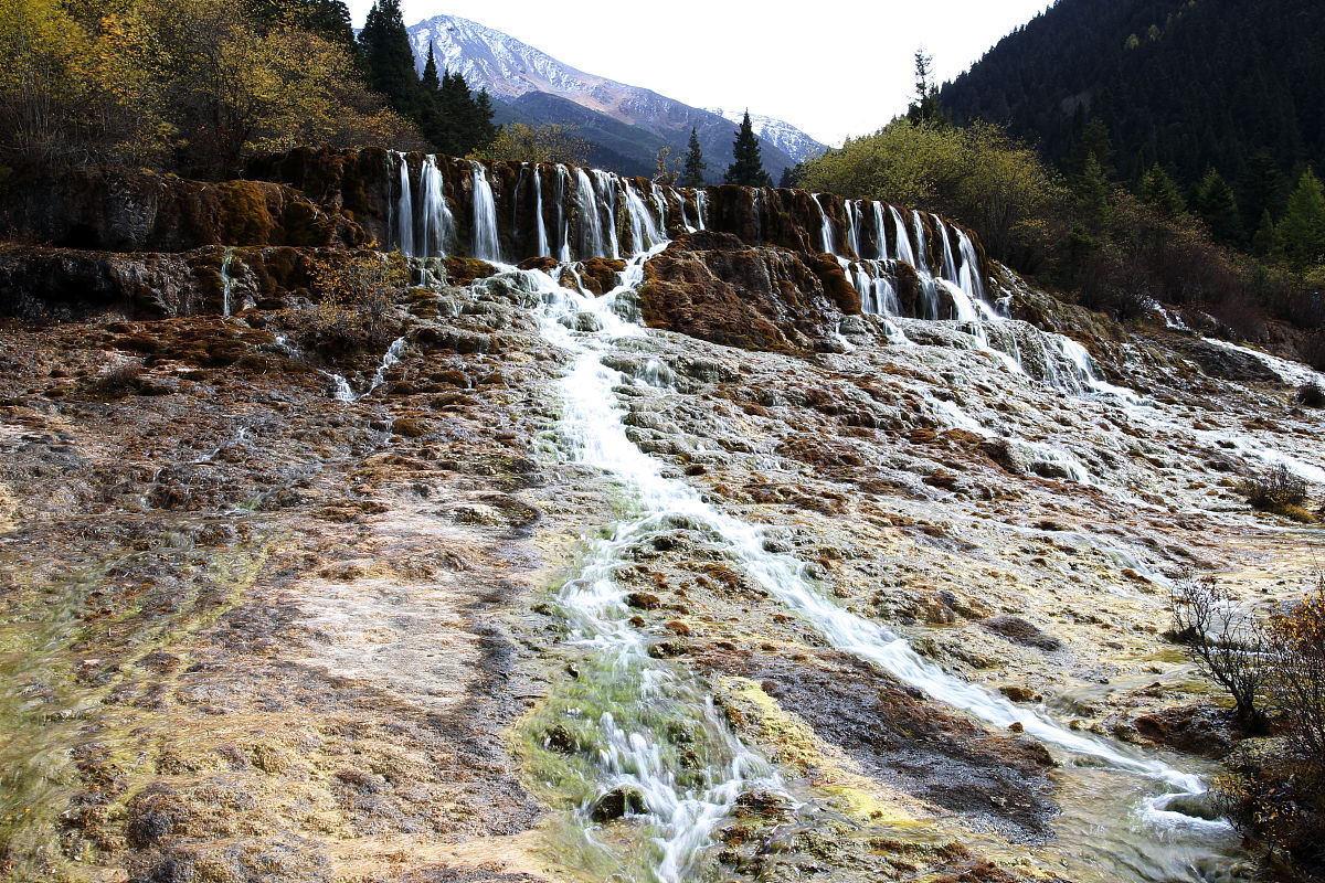 四川航天职业技术学院旅游服务与管理专业就业方向：多个选择，总有适合你！