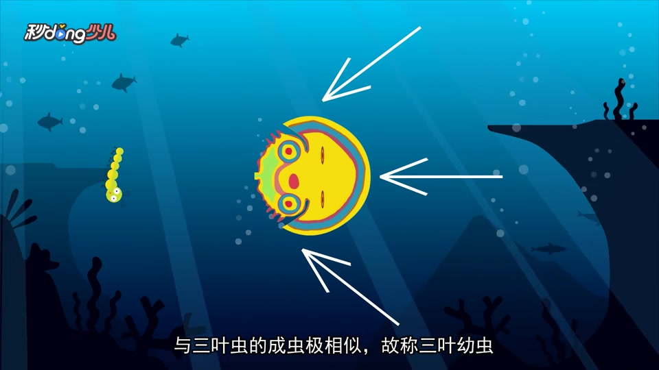 鲎如何进行繁衍