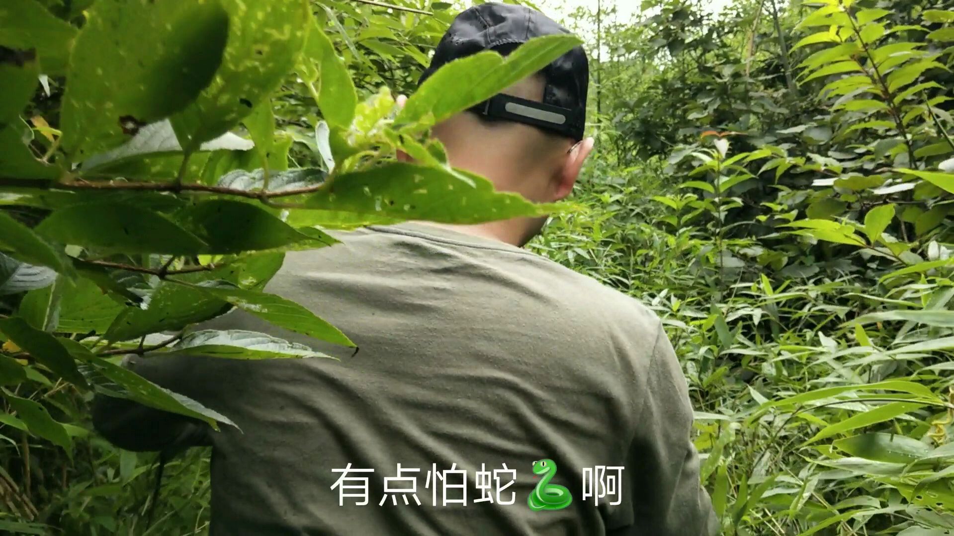 跋山涉水忍饥挨饿钓到一条纯野生鲫鱼,全身金黄很漂亮