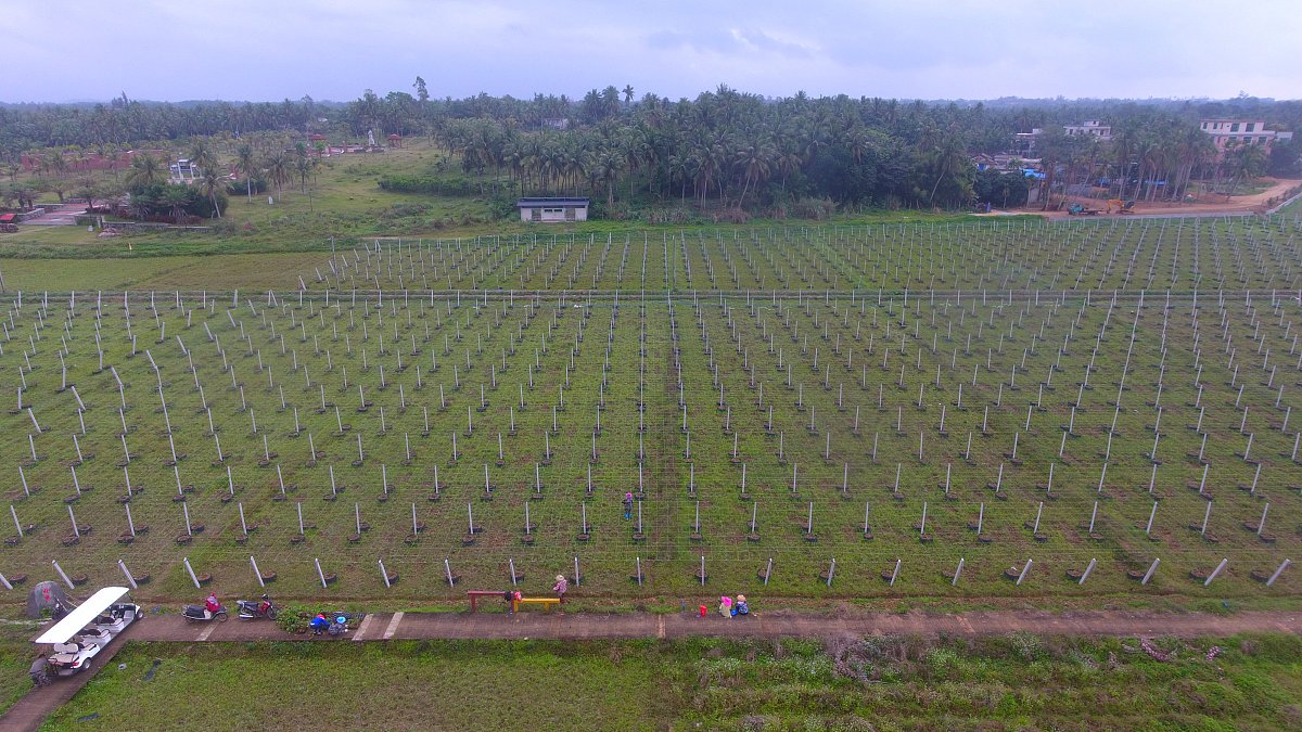 红河州农业学校现代农业技术专业怎么样？好不好