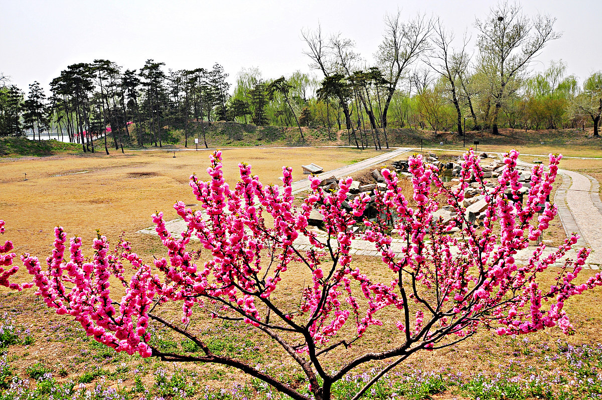 春游诗歌：踏青赏景，感受春日美好