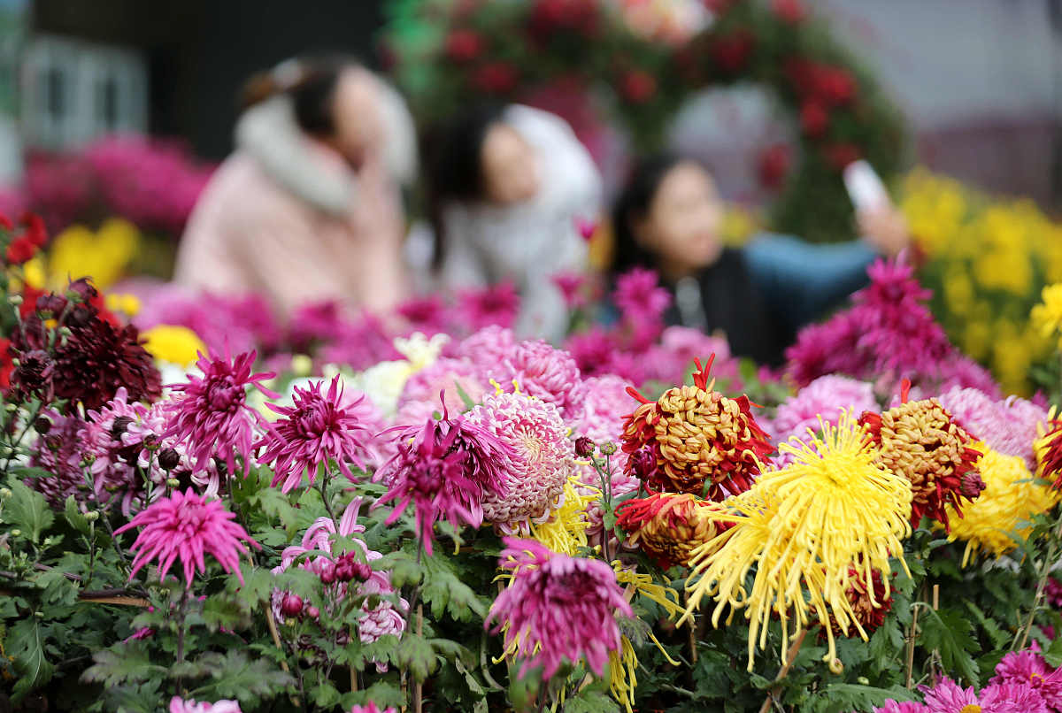 山东水利职业学院给排水工程技术专业怎么样