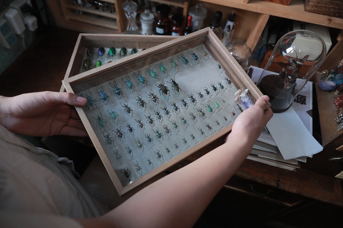 终岁新事无二三是什么意思