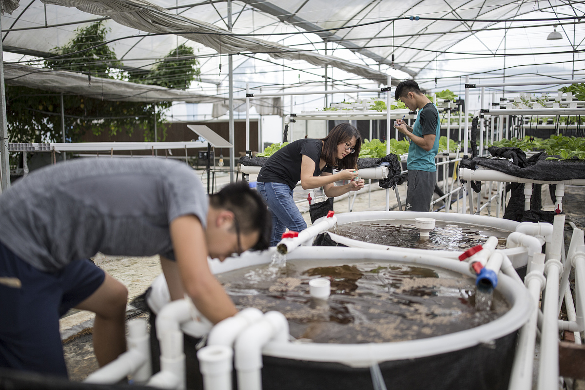 香港就读研究生宣传标语