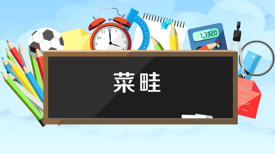 一分钟了解-菜畦
