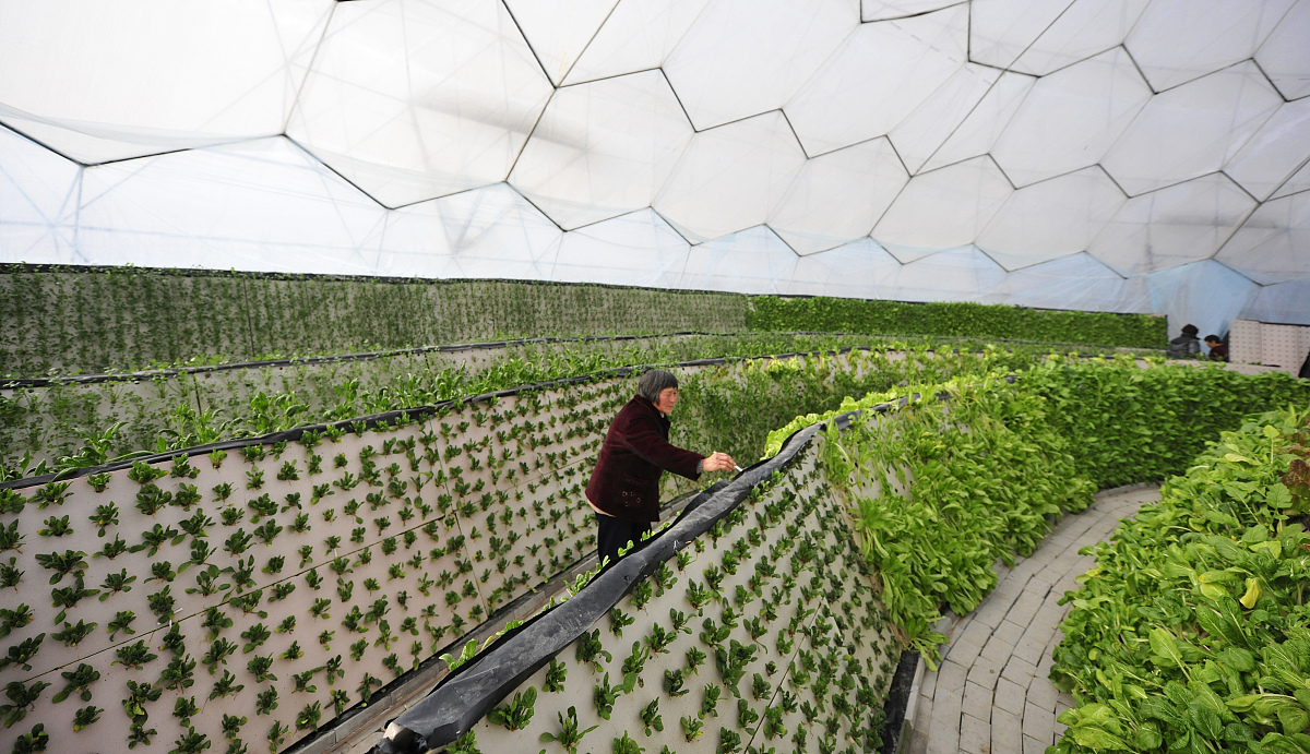 云南曲靖农校2019年五年制大专重点专业