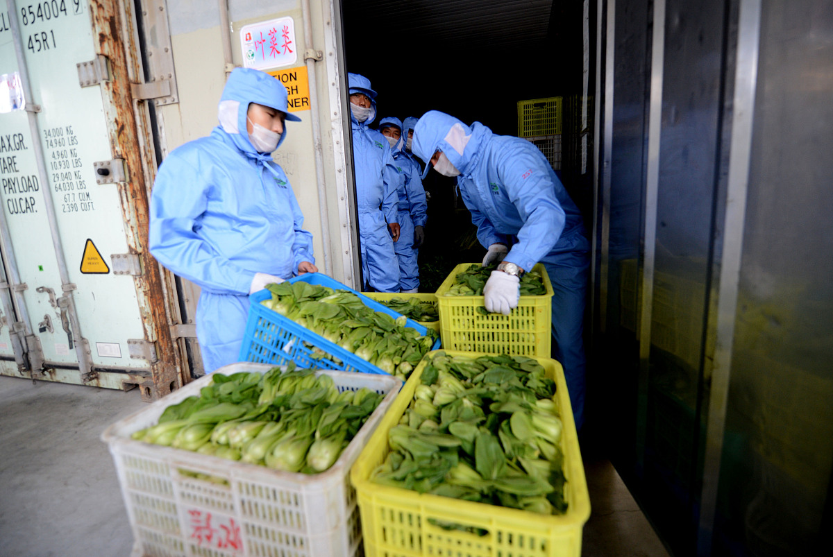 威海市水产学校食品水产科：培养食品安全人才的摇篮