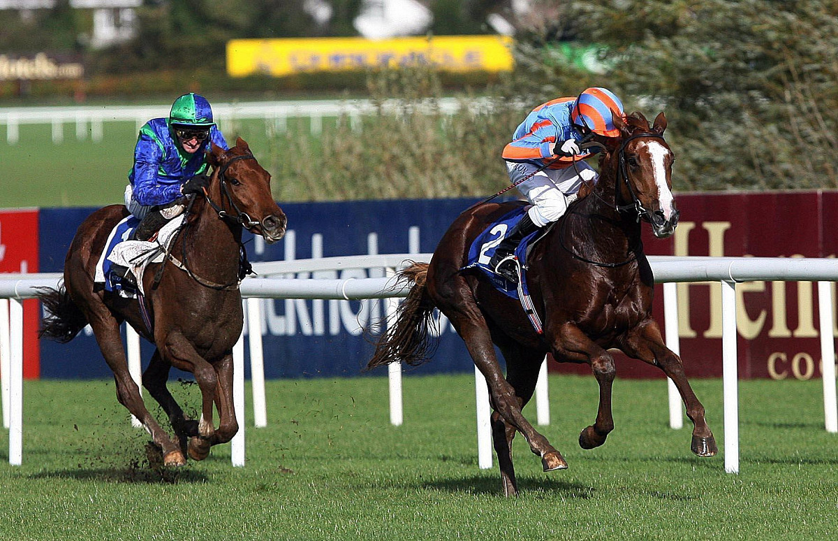 CommandNotFoundError No command conda version 是什么意思该如何解决