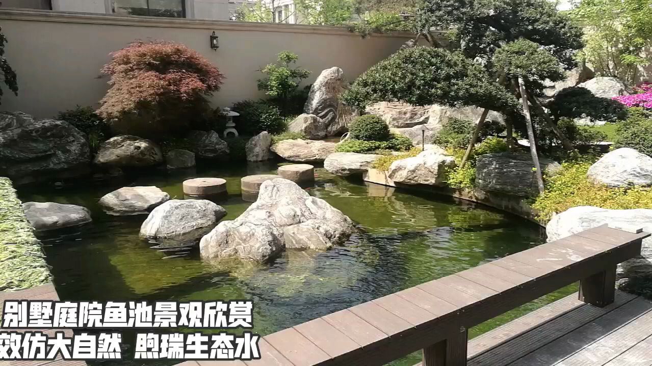 汇聚8款漂亮的别墅庭院锦鲤鱼池景观,每个花园鱼池都清澈洁净!