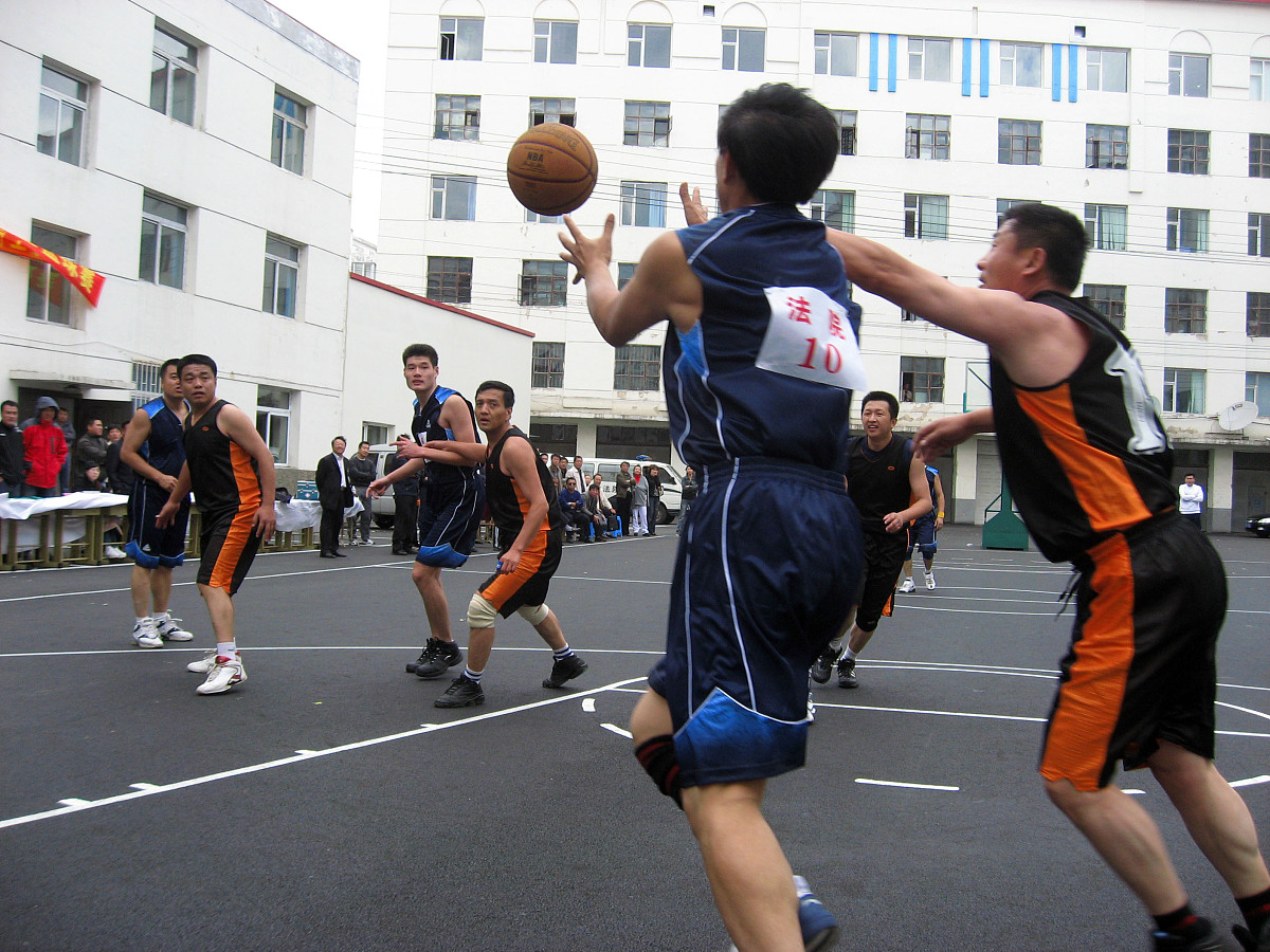 难忘的运动会：展现自我，收获成长