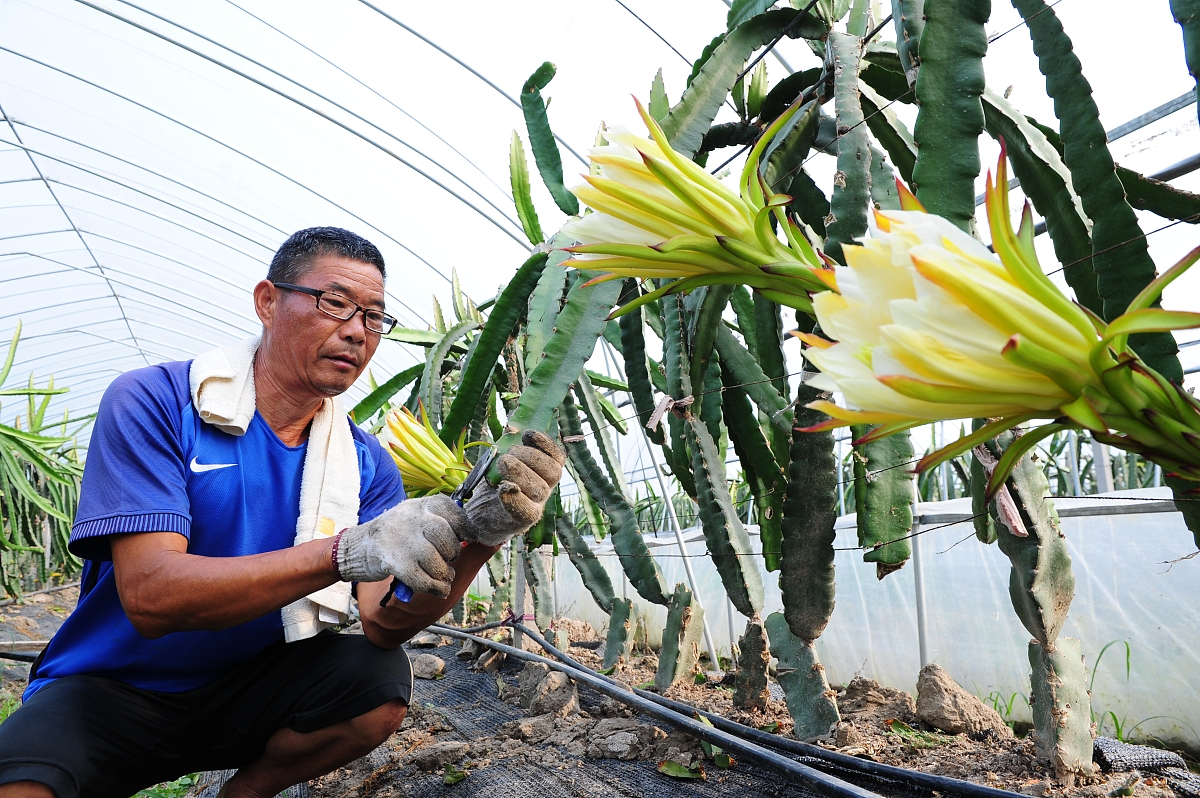 正安中等职业学校2023年哪些专业招生