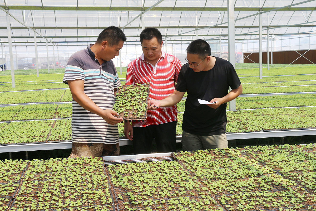 中专生选择中草药栽培专业好吗？就业前景如何？