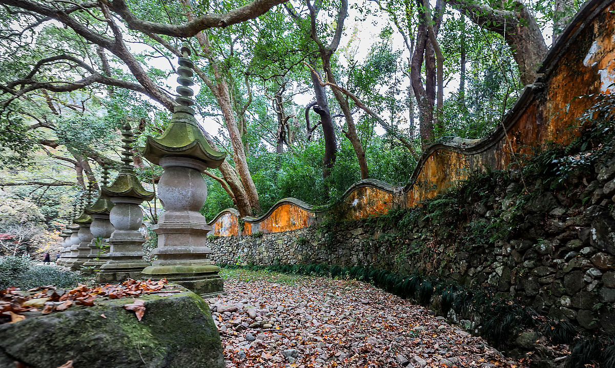 2023年天台天成职业技术学校招生简章 - 高素质职业人才培养基地