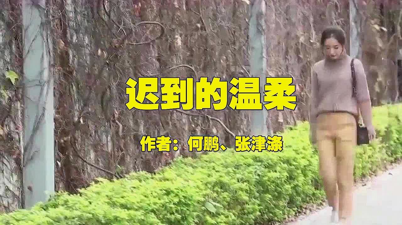 [图]一首DJ版《迟到的温柔》,优美的歌声,动感十足