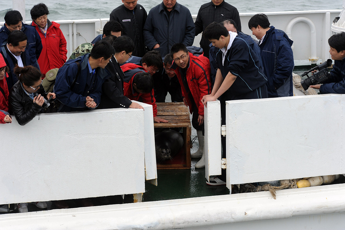 资深轮机长-毕业于大连海事大学-擅长机损海损检验