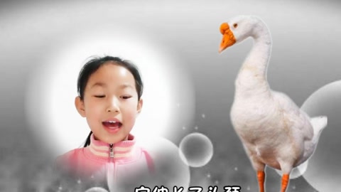 小学课文白鹅朗读视频配乐