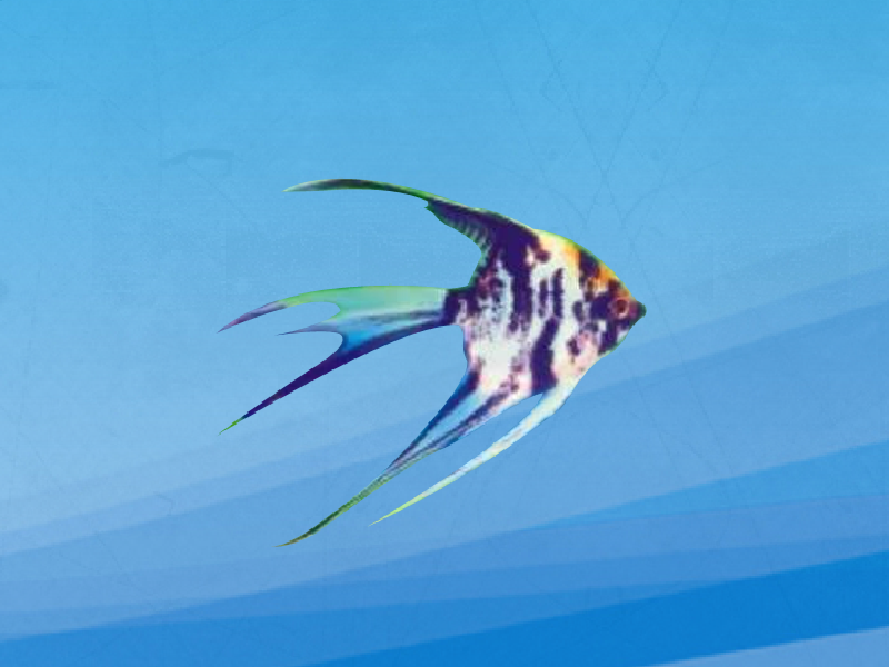 一分钟了解云石神仙