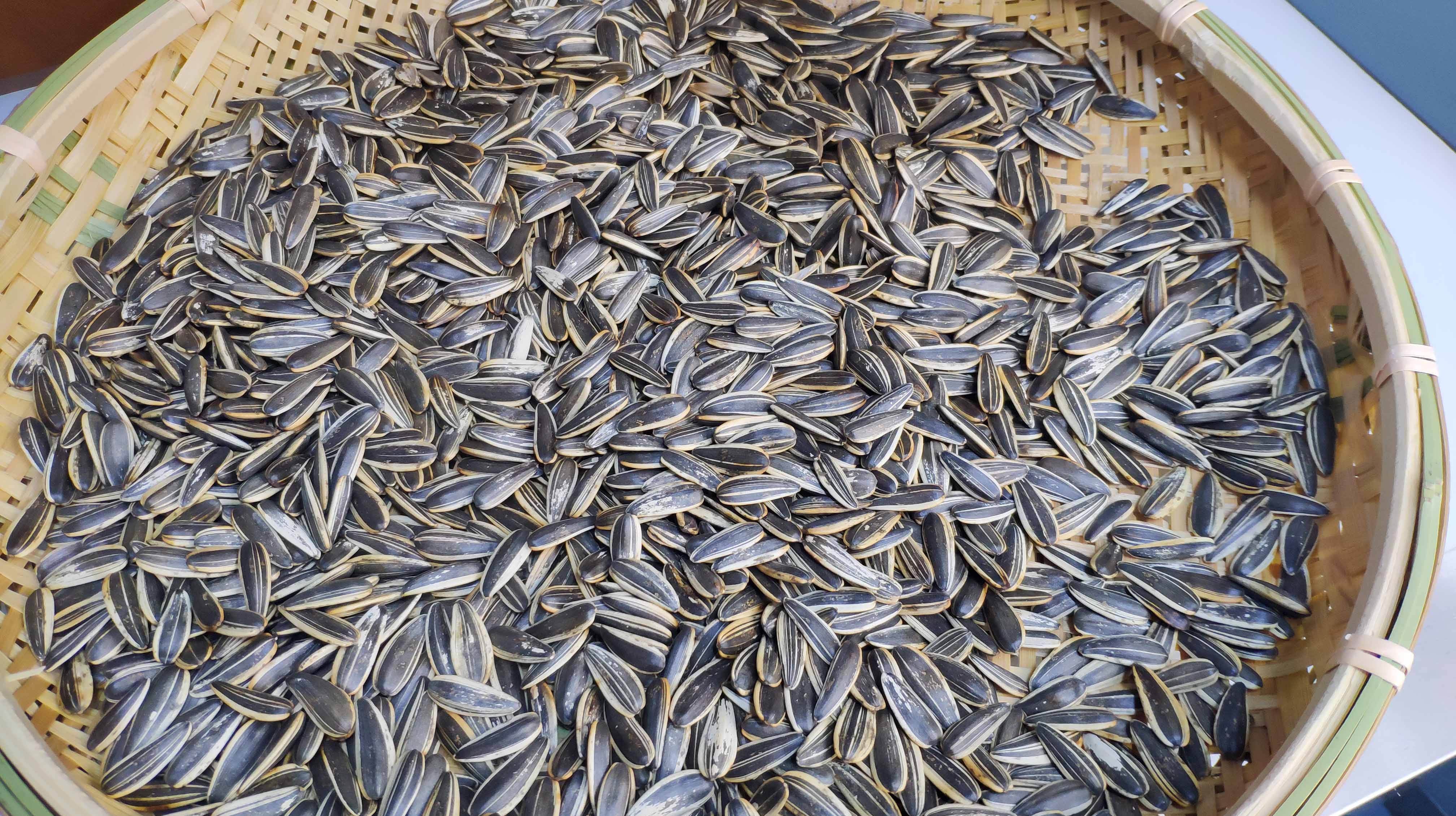 五香瓜子不用出去买?手把手教你在家炒,咸香酥脆,比买的好吃!