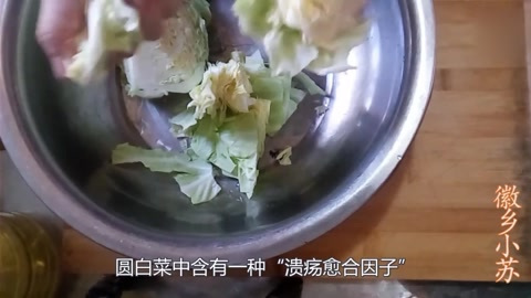 圆白菜竟有如此奇特的食疗功效,听完小伙述说你也会回家炒一盘