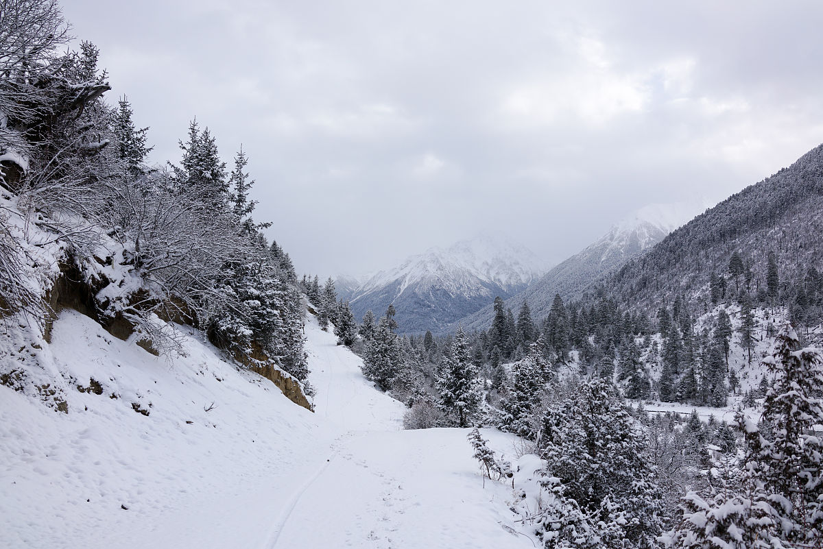 2018年2月20日,西藏林芝巴松措景区,巴松措景区里面的新措是一个很少