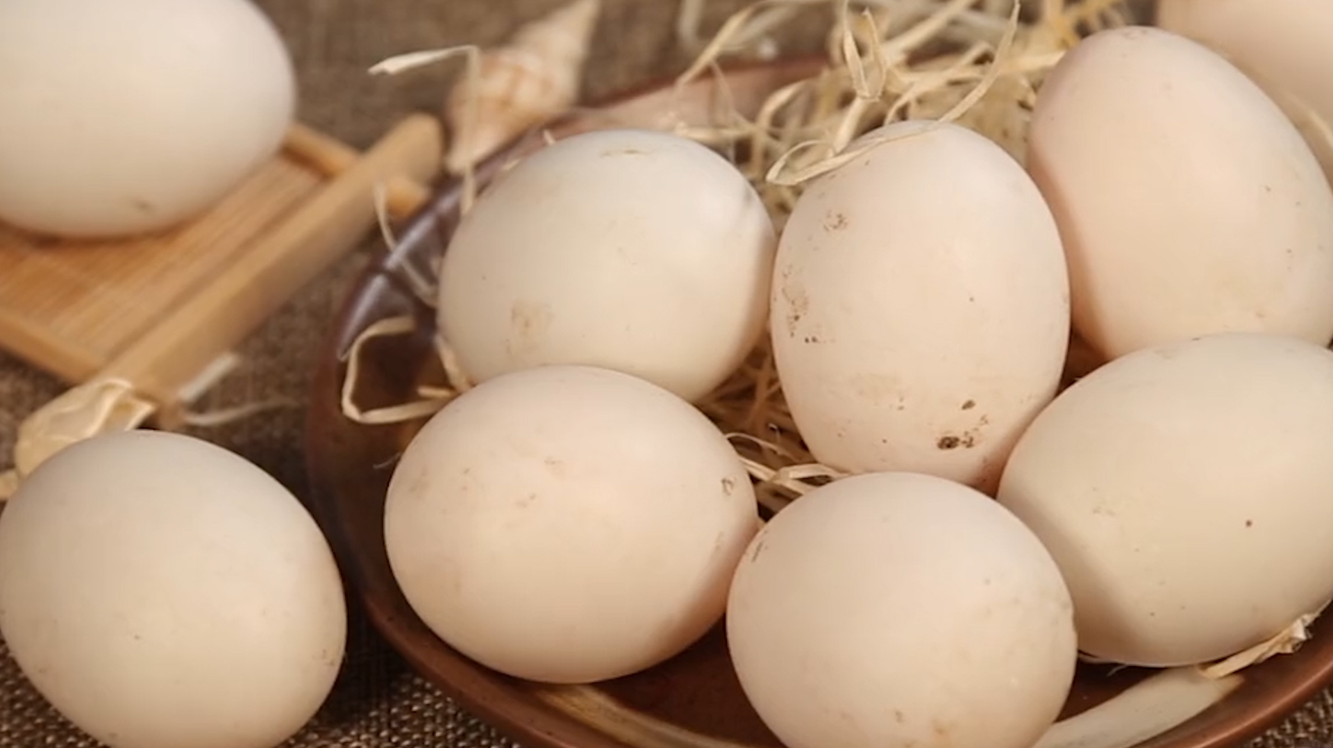 什么是海鸭蛋呢?就是海边鸭子所产的蛋,它的蛋白质是牛奶的5倍