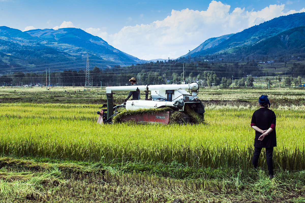 四川农业机械应用技术专业院校推荐：哪些学校值得报考？