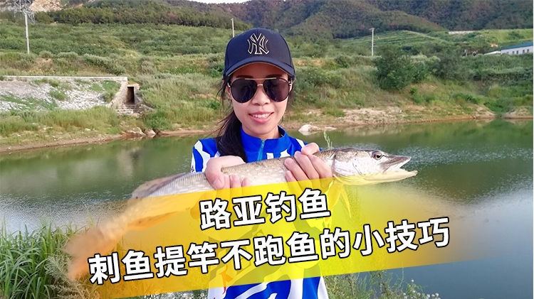 路亚钓鱼,刺鱼提竿不跑鱼的小技巧