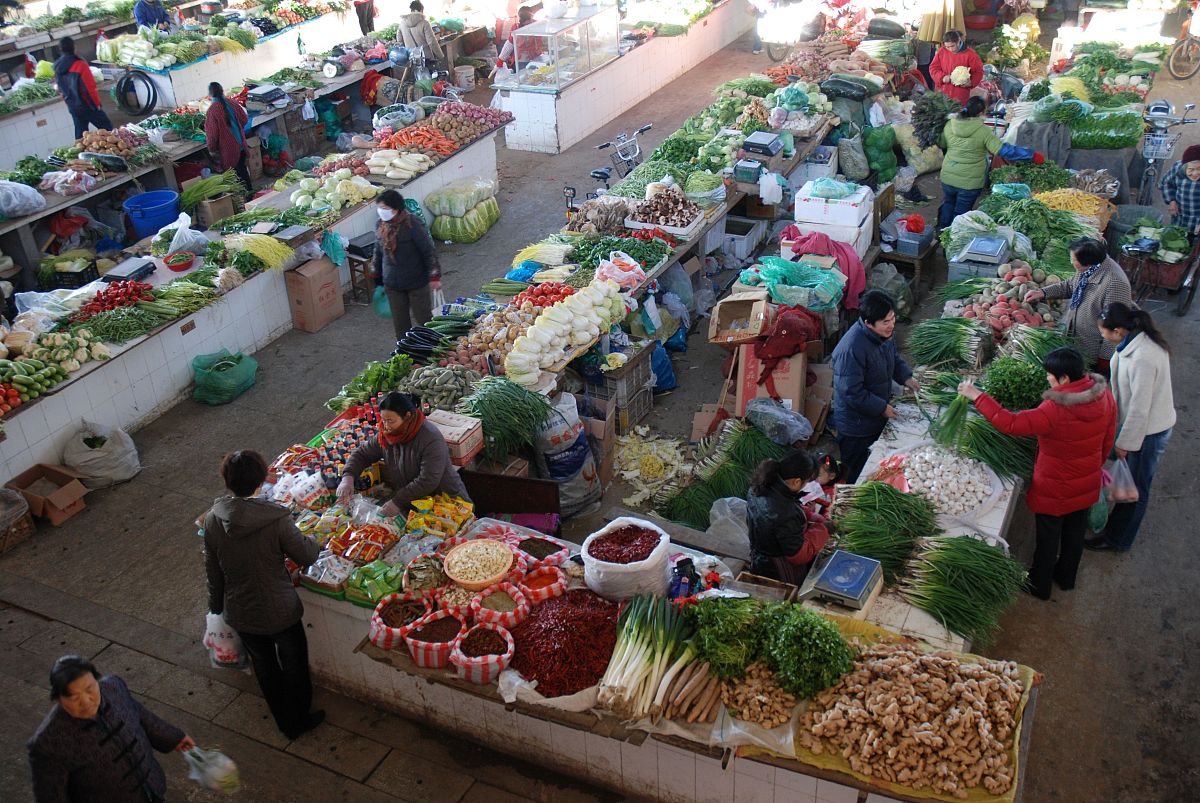 工程概预算课程学习心得 - 2000字深度解析