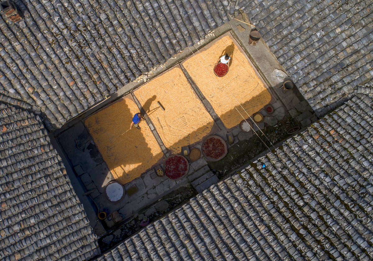 帮我设计一个unity2d的一个小游戏并给出范例